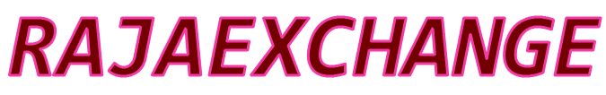 RAJAEXCHANGE Logo